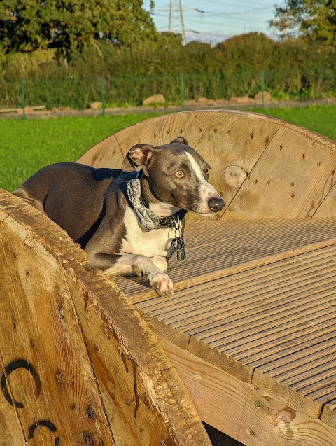 Off the Leash Dog Parks