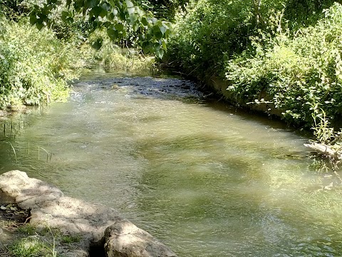 Trowbridge Park Pond