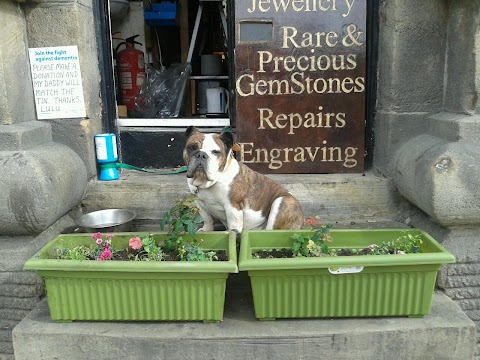 Pets at Home Leeds Crown Point