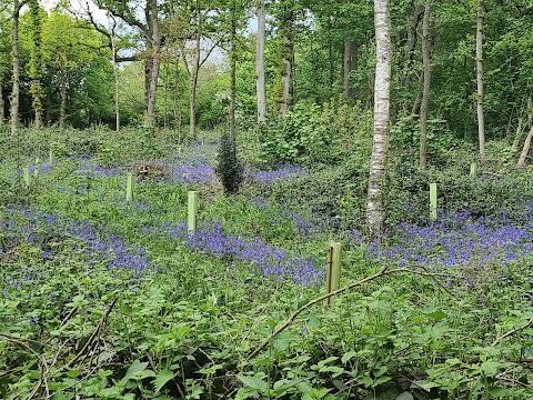 Belhus Woods Country Park Visitor Centre