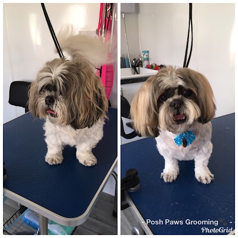 Posh Paws Grooming ( Dog Grooming Basingstoke )