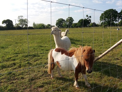 The Stables- Deer Park Farm