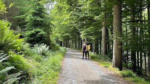 Tollymore Forest Park