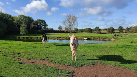 Offley Grove Farm