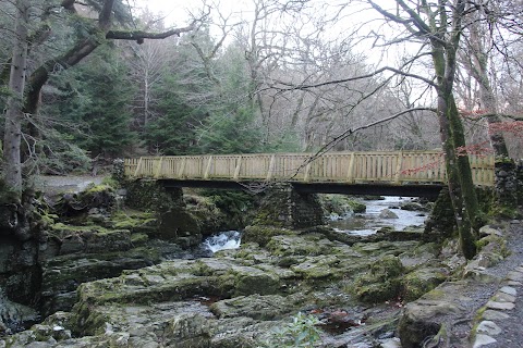 Tollymore Forest Park