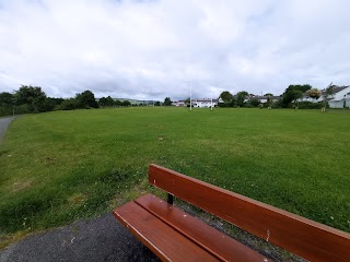 Dodder Valley Park