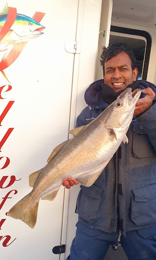 Yellowfincharter Brighton