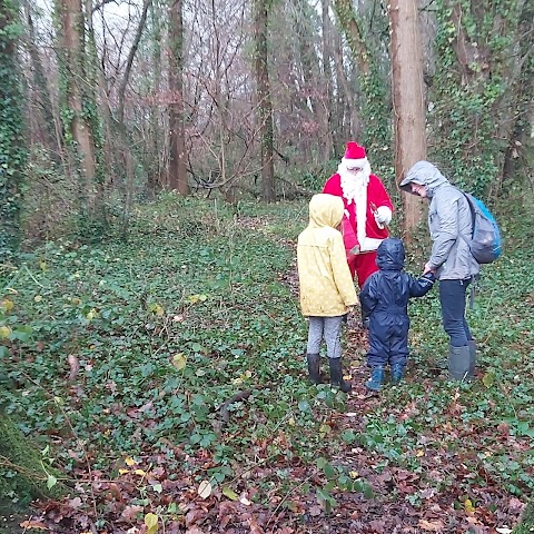 At Play In The Woods Birthday Parties & Forest School