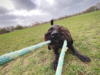 Fluffies - London Dog Walking Company