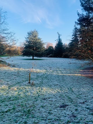 Woodland Play Trail