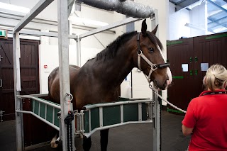 Newnham Court Equine Clinic