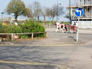 Christ Church Primary School