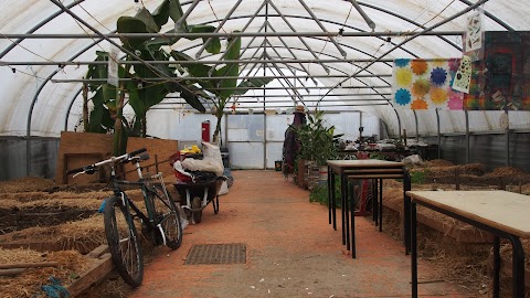 Arkwright Meadows Community Gardens