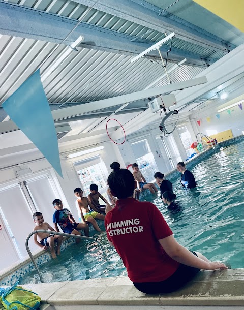 Little Dolphins Swimming School