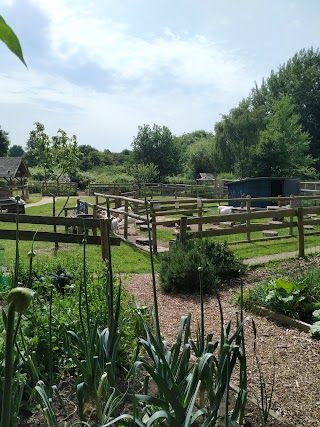 Lawrence Weston Community Farm