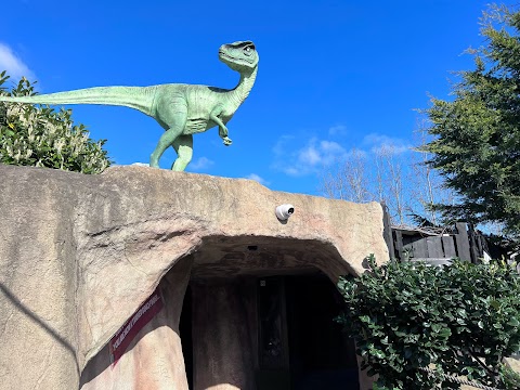 Rye-assic Adventure Park