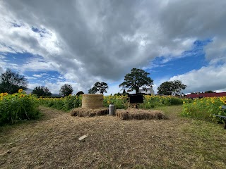 Newcastle Country Cottages