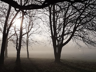 Lings Wood Nature Reserve