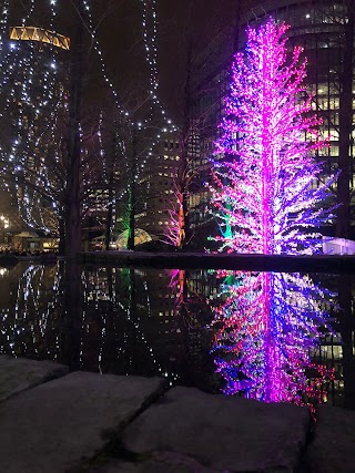 Jubilee Park Water Fountains