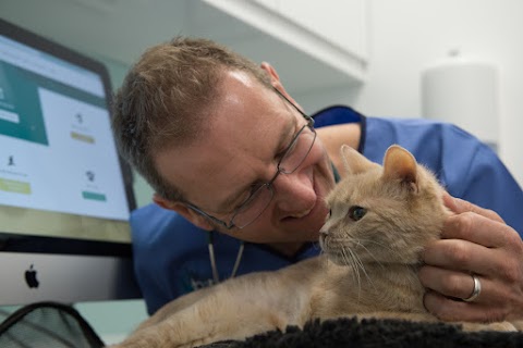 The London Cat Clinic