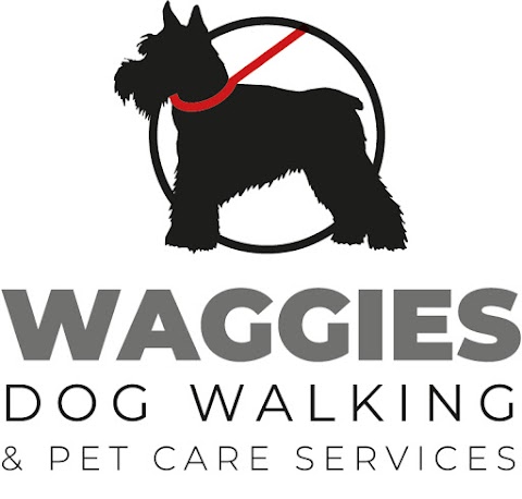 waggies dog walkers