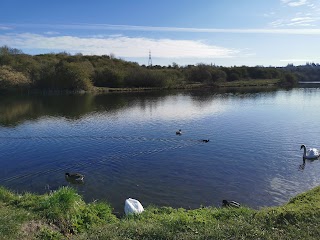 Buckpool and Fens Pool Local Nature Reserve