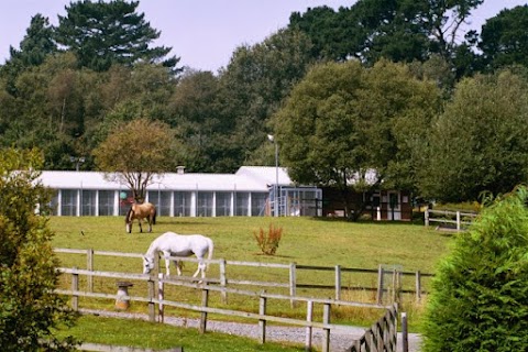 Chilworth Kennels and Cattery