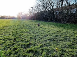 Dominion Road Open Space