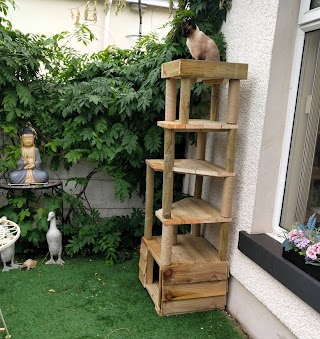 Cat Tree UK - The UK's Leading Cat Tree Retailer