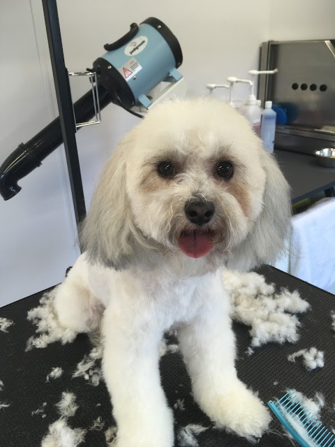 Prefurred Grooming, St Neots