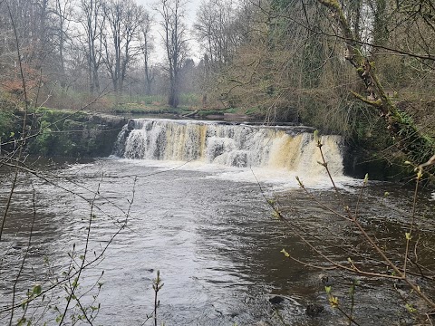 Linn Park Waterfall