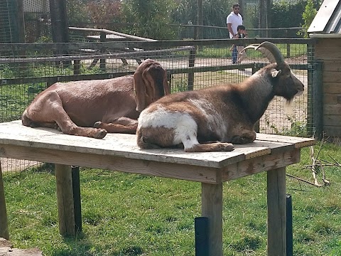 Wildheart Animal Sanctuary, Isle of Wight