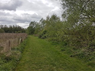 Wanlip Meadows