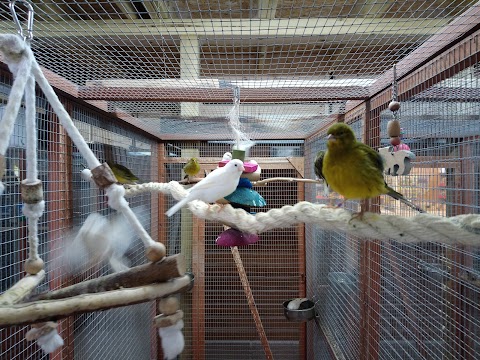 Riverside Aviaries Limited