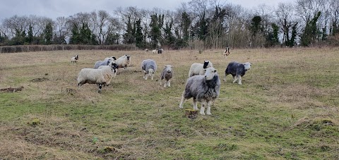 Saltbox Hill