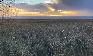 Parkgate Spring