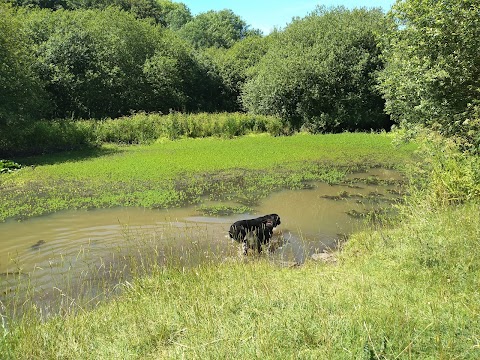 Seaton Valley Countryside Park