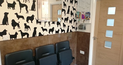 Saint Leonard Vet Centre Allestree