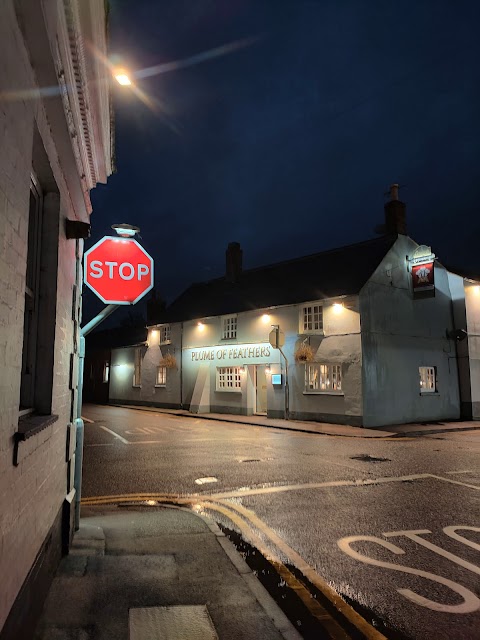 The Plume Of Feathers, Weedon