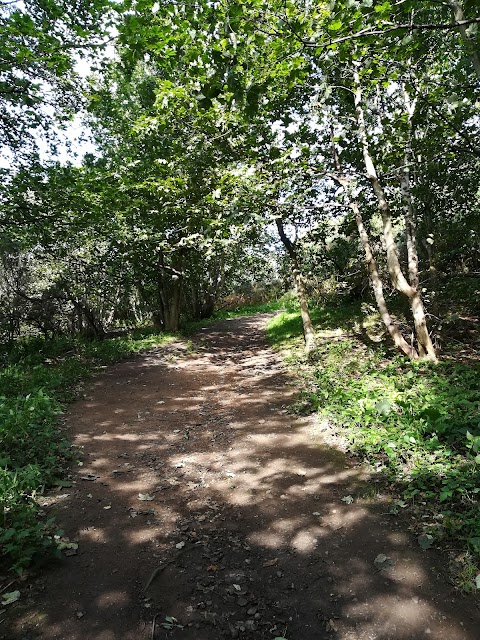 Entrance To Corstorphine Hill