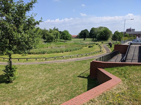 Selby Wildlife Pond