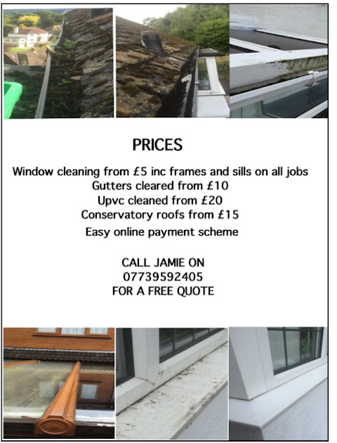 Clean and shine window cleaning services