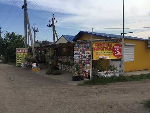 ВИНОГРАД ЦЕНТР СЕРВИС Белецких