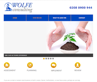 Wolfe Consulting