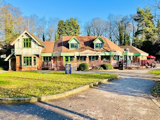 Coffee Shop & Ice Creams in the Park