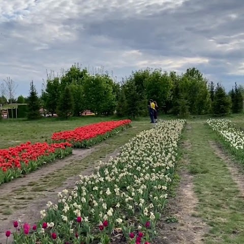 Парковка Добропарк