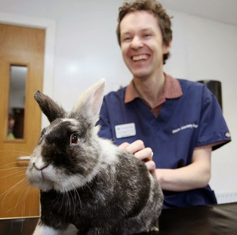 Blanchardstown Veterinary Hospital