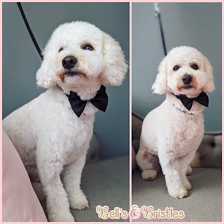 Bell's & Bristles Dog Grooming