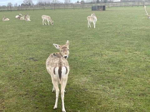 Little Owl Farm Park, Worcestershire