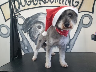 The Dirty Dog Grooming